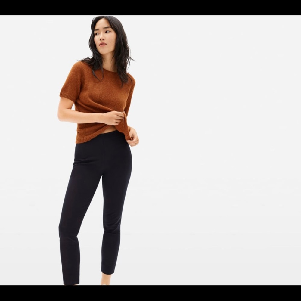 Everlane Side Zip Work Pants